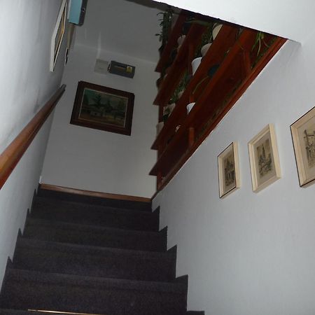 Penzion Zavodsky Český Krumlov Exteriör bild
