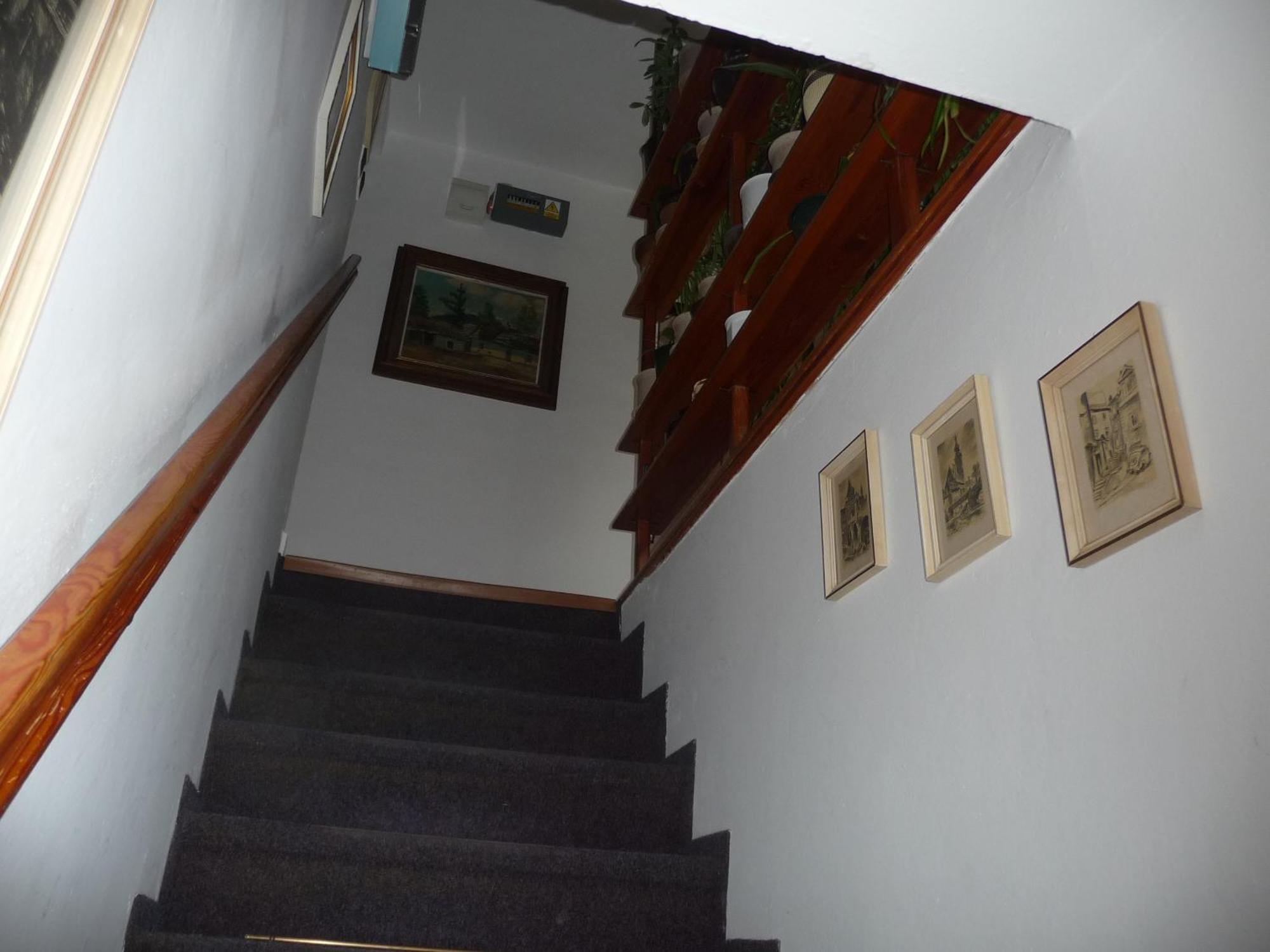 Penzion Zavodsky Český Krumlov Exteriör bild